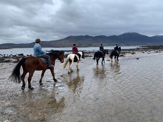 Carrowholly Stables & Trekking Centre